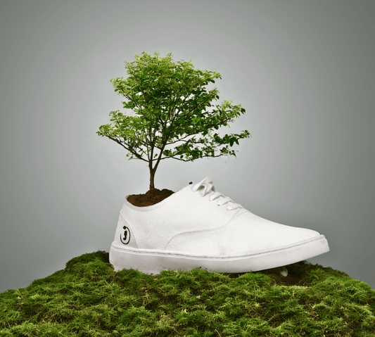 Revolutionizing Footwear: Jutaji's 100% Biodegradable Shoes Paving the Way to a Sustainable Future - JUTAJI®